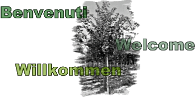 Welcome Willkommen Benvenuti